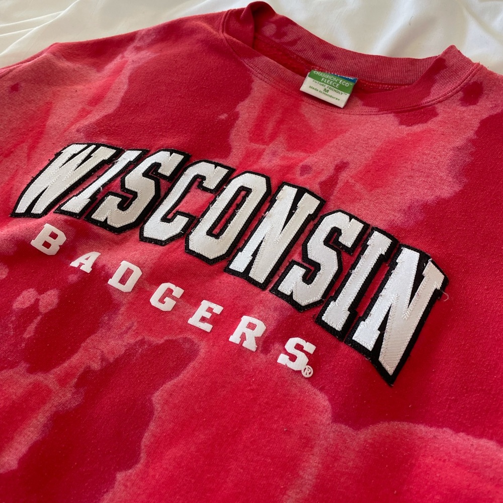 VINTAGE WISCONSIN BADGERS cropped crewneck.